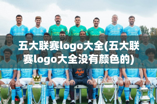 五大联赛logo大全(五大联赛logo大全没有颜色的)