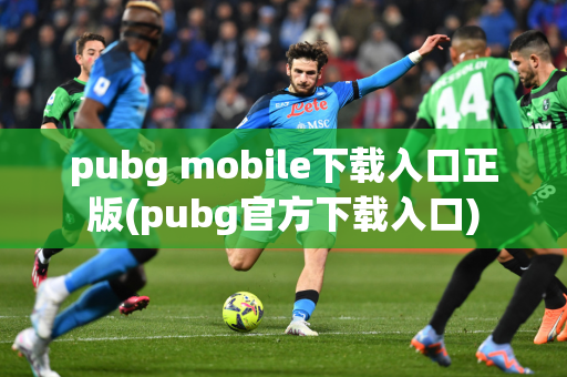 pubg mobile下载入口正版(pubg官方下载入口)