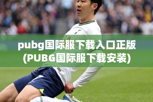 pubg国际服下载入口正版(PUBG国际服下载安装)