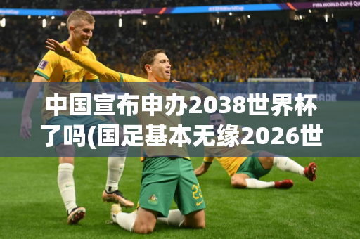 中国宣布申办2038世界杯了吗(国足基本无缘2026世界杯)