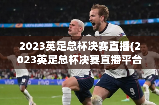 2023英足总杯决赛直播(2023英足总杯决赛直播平台)