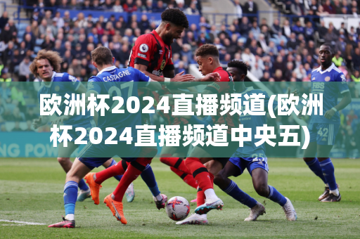 欧洲杯2024直播频道(欧洲杯2024直播频道中央五)