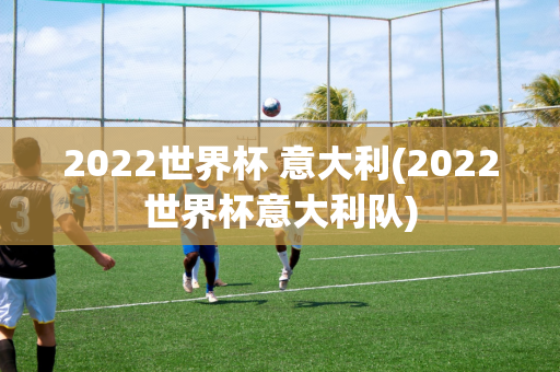 2022世界杯 意大利(2022世界杯意大利队)