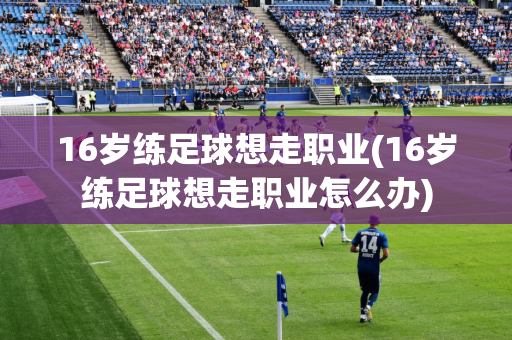 16岁练足球想走职业(16岁练足球想走职业怎么办)