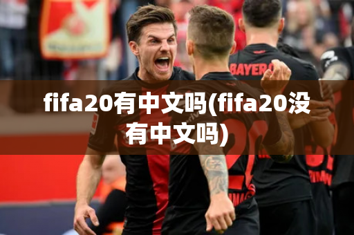 fifa20有中文吗(fifa20没有中文吗)