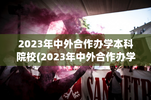 2023年中外合作办学本科院校(2023年中外合作办学本科院校录取分数线)