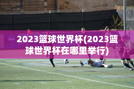 2023篮球世界杯(2023篮球世界杯在哪里举行)