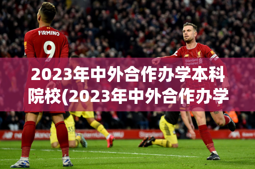 2023年中外合作办学本科院校(2023年中外合作办学本科院校录取分数线)